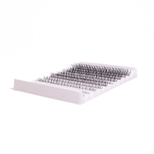 Single Lash Clusters